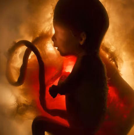 5 dau hieu bao thai nhi dang “keu cuu” tu trong bung me - Anh 3