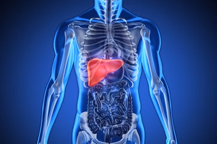 4 thực phẩm hàng đầu giải độc gan