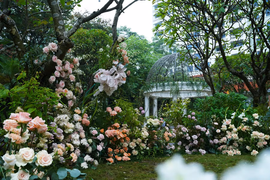 Thấu hiểu mong ước của uyên ương, ê kíp đã 'mang Đà Lạt' tới đám cưới này bằng việc vận chuyển các cây thông từ rừng Đà Lạt ra Hà Nội để trang trí cưới.