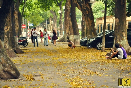 Mùa thu cảnh lá vàng rơi, cành khô lá úa... lòng người hay thương cảm, man mác buồn… dễ rơi vào trạng thái trầm cảm