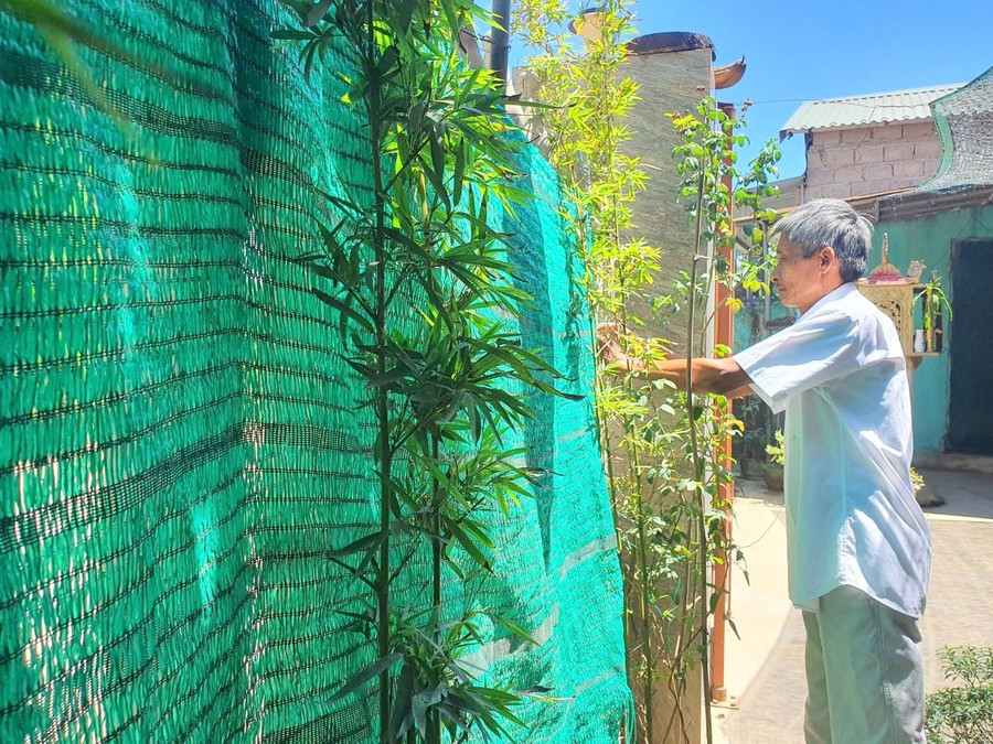 Ông Huy sử dụng lưới nhựa hoặc bạt để che chắn trước nhà, giảm thiệu bụi bẩn.