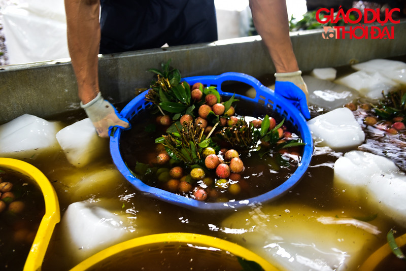 Mỗi mùa làm đá cao điểm kéo dài khoảng 30 -35 ngày