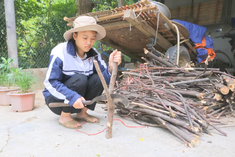 Đủ điều kiện vào trường Đại học, nhưng Nhàn vẫn ngập ngừng vì hoàn cảnh khó khăn. 
