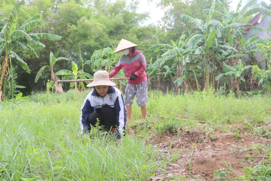 Hai anh chị học xa nhà, Nhàn ở nhà phụ mẹ mọi việc. Hai anh chị học xa nhà, Nhàn ở nhà phụ mẹ mọi việc.