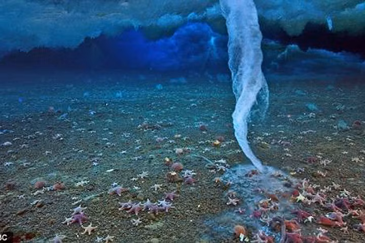 Đây là những hiện tượng lạ lùng chỉ xảy ra khi trời lạnh