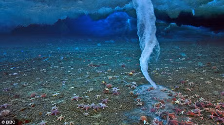 Day la nhung hien tuong la lung chi xay ra khi troi lanh - Anh 3