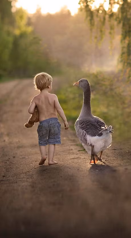 Hay cho tre nuoi thu cung de co duoc hanh phuc 