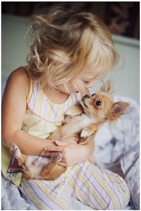 Hay cho tre nuoi thu cung de co duoc hanh phuc 