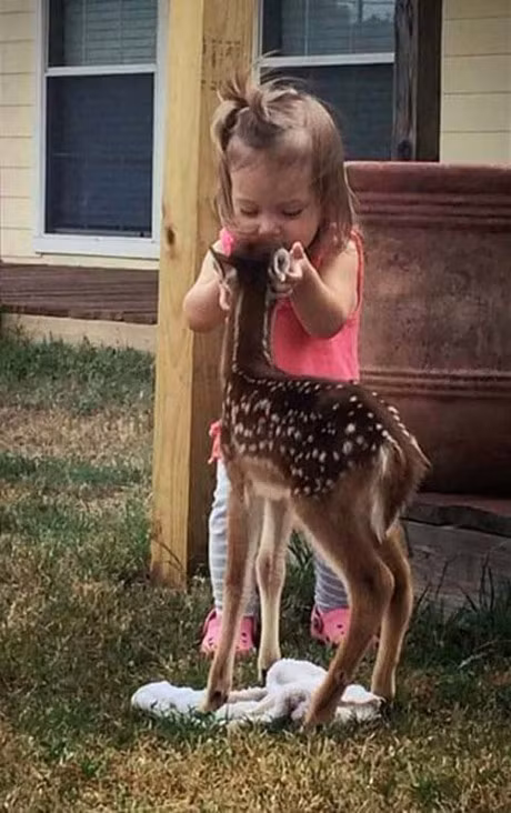 Hay cho tre nuoi thu cung de co duoc hanh phuc 