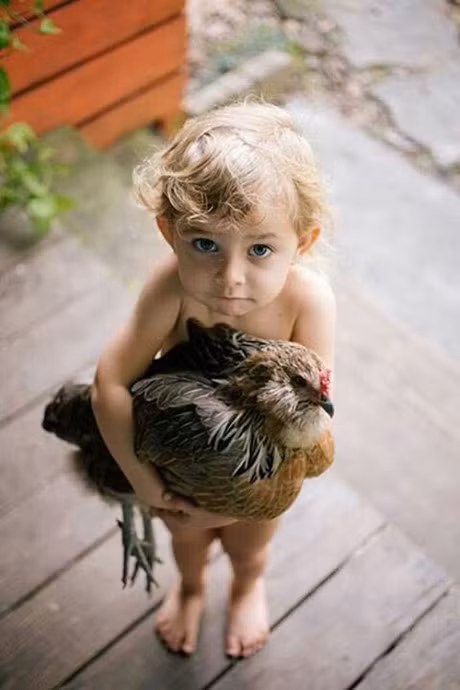 Hay cho tre nuoi thu cung de co duoc hanh phuc 