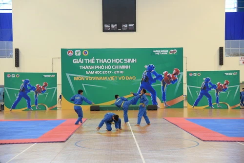 Màn biểu diễn đối kháng của môn Vovinam