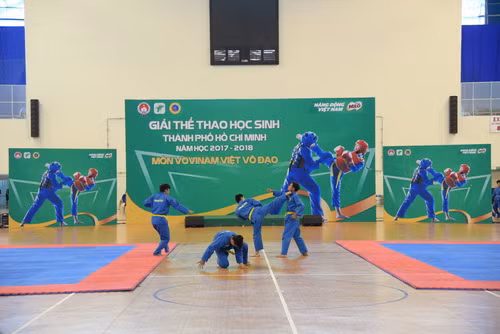 Màn biểu diễn đối kháng của môn Vovinam