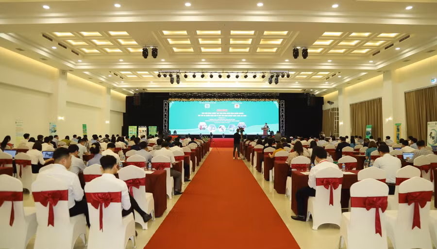 Toàn cảnh Hội nghị.