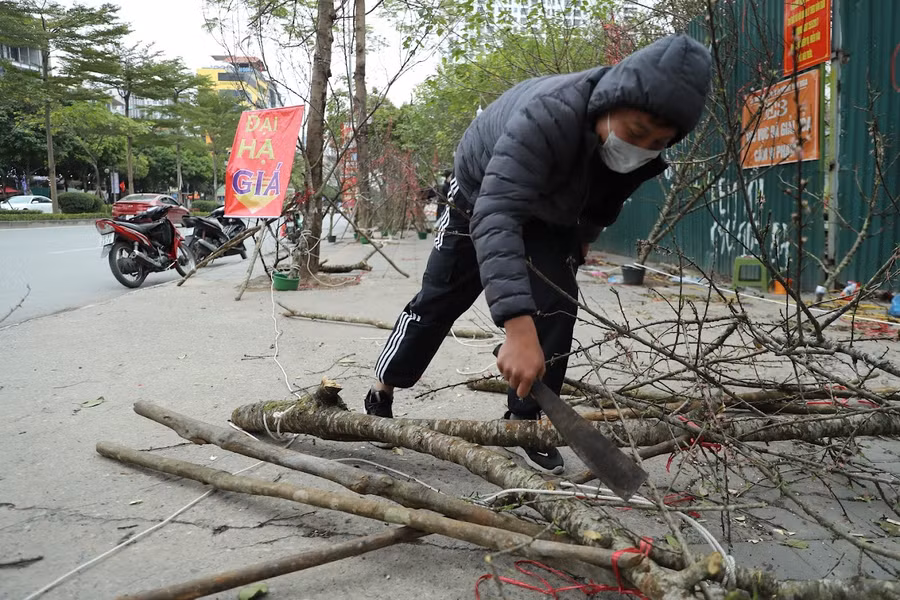 Tại khu vực gần sân vận động Mỹ Đình, tiểu thương tự tay chặt đào.