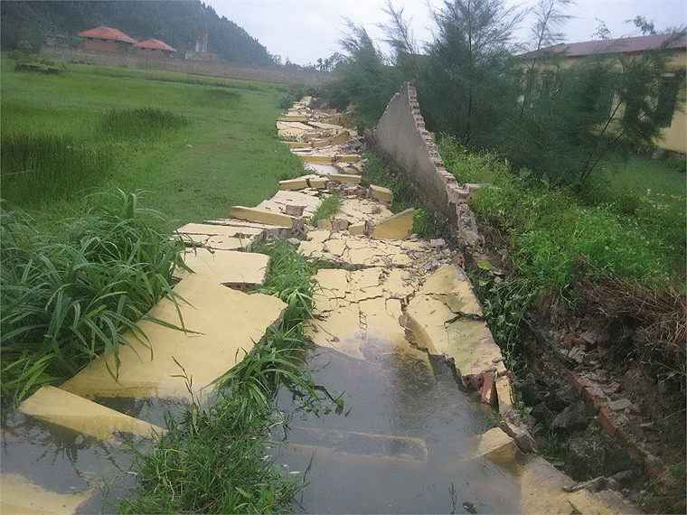 Các tỉnh khẩn trương khắc phục hậu quả bão số 8, sớm ổn định công tác dạy và học ảnh 1 Các tỉnh khẩn trương khắc phục hậu quả bão số 8, sớm ổn định công tác dạy và học ảnh 1