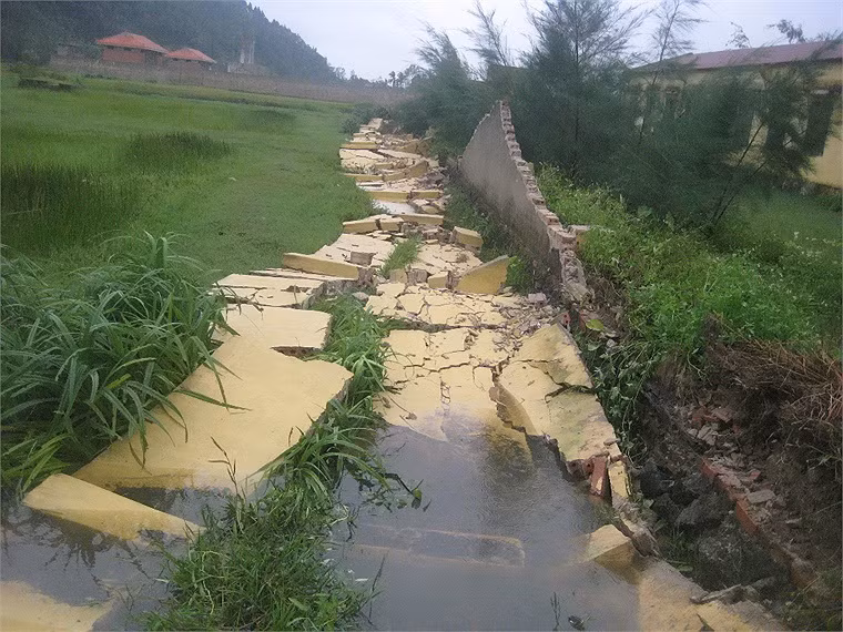 Các tỉnh khẩn trương khắc phục hậu quả bão số 8, sớm ổn định công tác dạy và học ảnh 1