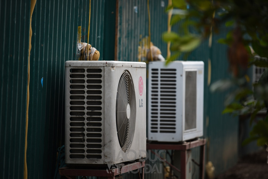 Để giữ cho hoa ra đúng vụ, ông Hàm phải cho đào vào trong &quot; phòng điều hòa&quot; để đảm bảo nhiệt độ cho cây luôn ở mức ổn định.