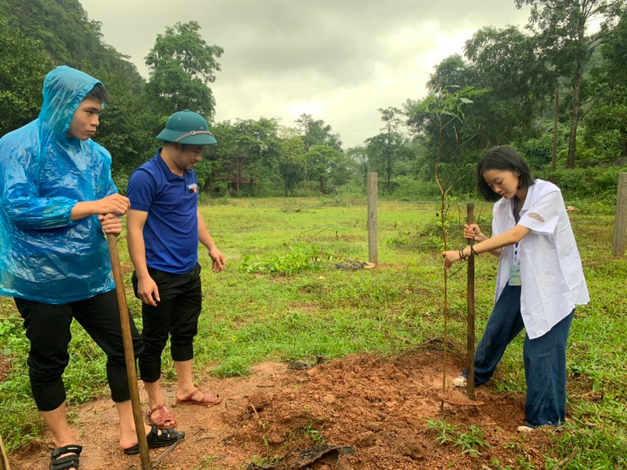 Các giống cây rừng được trồng là lim xanh, dỗi, sến, lát hoa, giáng hương...