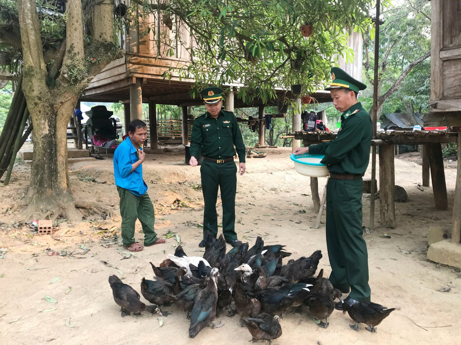 Bộ đội biên phòng Hướng Lập hỗ trợ cây, con giống giúp người dân thoát nghèo.