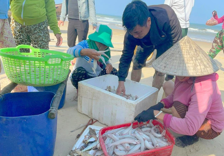 Gặp luồng cá, ngư dân có thể đánh bắt khoảng 30kg cá khoai mỗi ngày. (Ảnh: Đ. Đức).