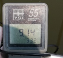 Bên trong khu thí điểm DO=9.14 mg/l (Đo vào ban ngày). Bên trong khu thí điểm DO=9.14 mg/l (Đo vào ban ngày).