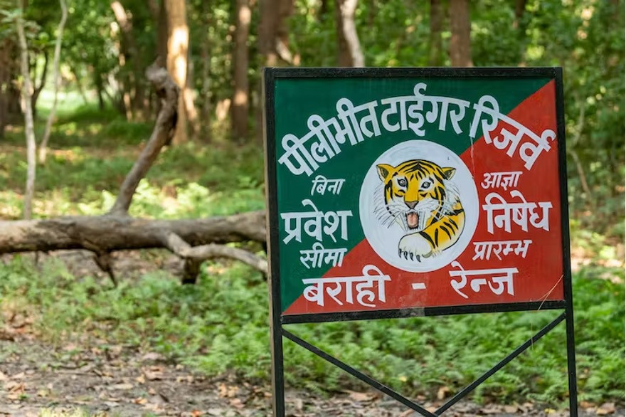 Biển báo có vẽ hổ Khu bảo tồn hổ Pilibhit dọc biên giới với Nepal, một trong 54 khu bảo tồn ở Ấn Độ. Biển báo có vẽ hổ Khu bảo tồn hổ Pilibhit dọc biên giới với Nepal, một trong 54 khu bảo tồn ở Ấn Độ.