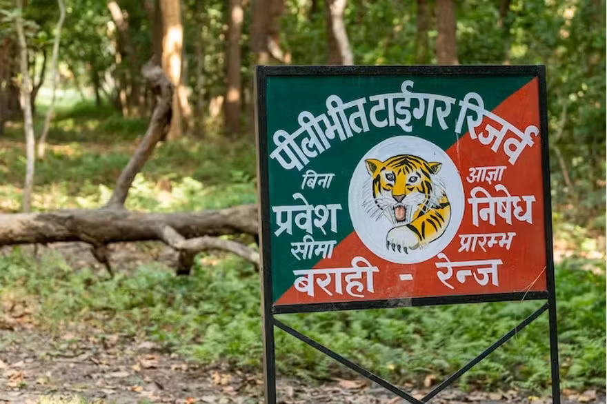 Biển báo có vẽ hổ Khu bảo tồn hổ Pilibhit dọc biên giới với Nepal, một trong 54 khu bảo tồn ở Ấn Độ.