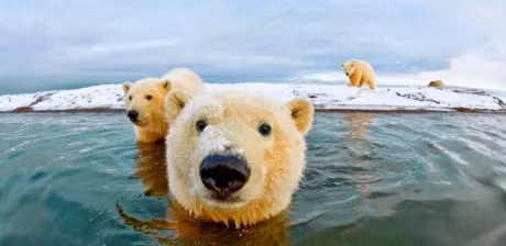 Du bao anh huong cua bien doi khi hau bang ve tinh - Anh 2