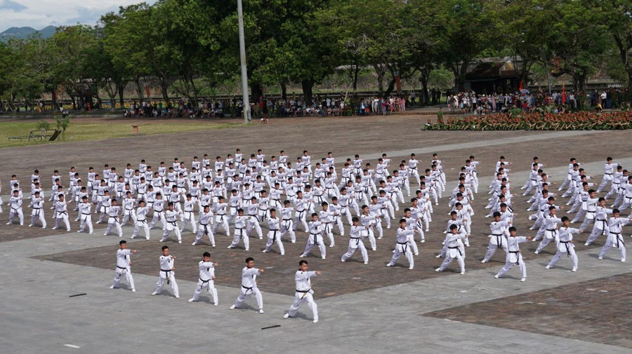 Trình diễn võ thuật. Trình diễn võ thuật.