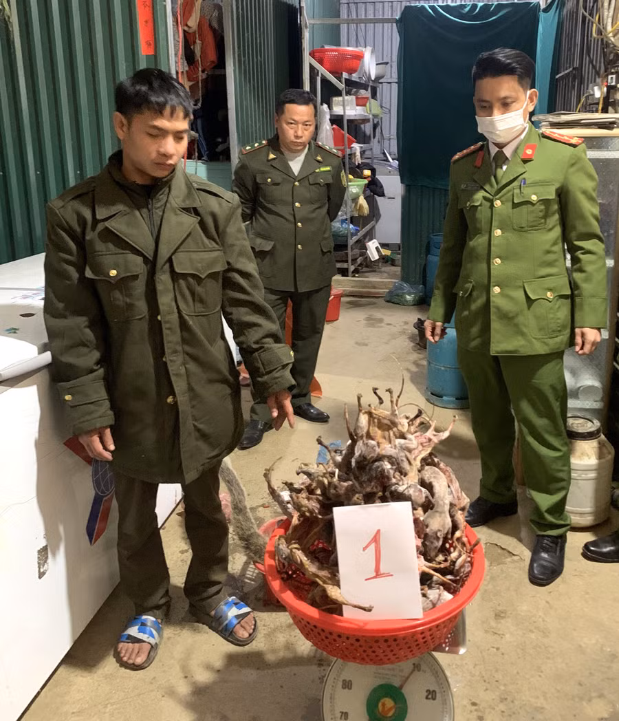 Số lượng cá thể động vật hoang dã quý hiếm bị cơ quan chức năng thu giữ. Ảnh: Công an Hà Giang.