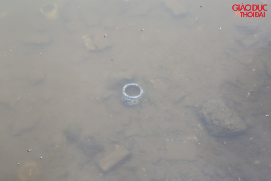 Nước trong khu vực xử lý trong có thể nhìn xuống cả đáy