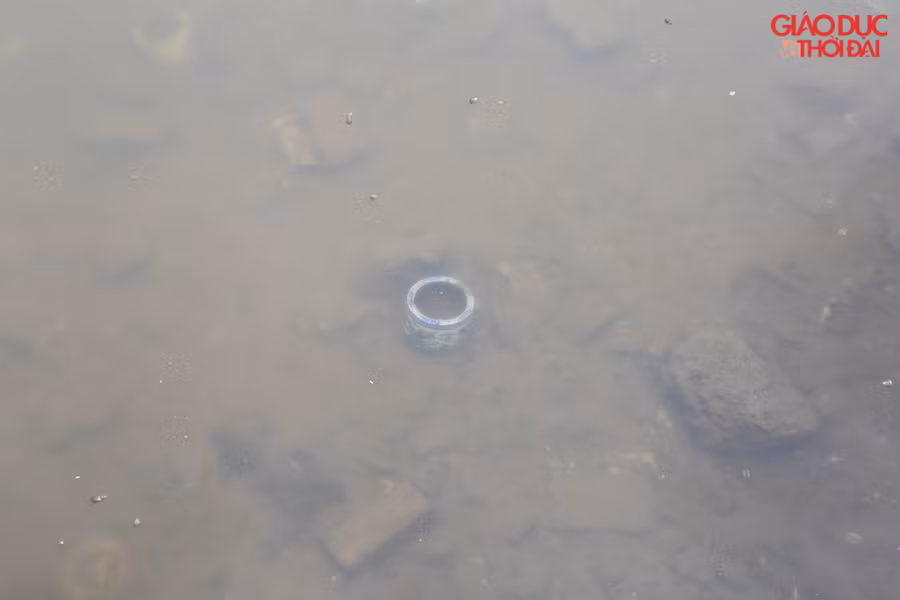 Nước trong khu vực xử lý trong có thể nhìn xuống cả đáy Nước trong khu vực xử lý trong có thể nhìn xuống cả đáy