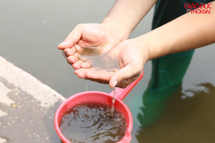 Kết quả sau 1 tháng rất bất ngờ cho kể cả với chuyên gia Nhật Bản có mặt