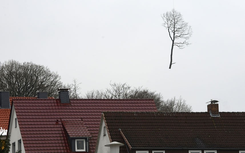 Những hình ảnh ấn tượng trong tuần ảnh 8 A cut-down tree hovers over houses as it is transported away by a helicopter in Hannoversch Muenden, central Germany