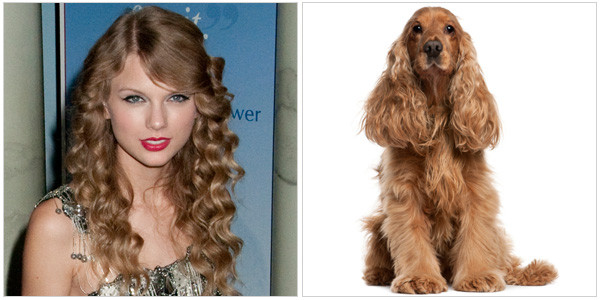 Ngộ nghĩnh ảnh sao Hollywood giống... động vật ảnh 8 Ngộ nghĩnh ảnh sao Hollywood giống... động vật ảnh 8