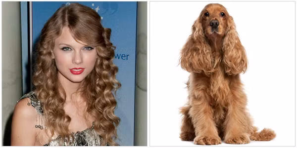 Ngộ nghĩnh ảnh sao Hollywood giống... động vật ảnh 8 Ngộ nghĩnh ảnh sao Hollywood giống... động vật ảnh 8