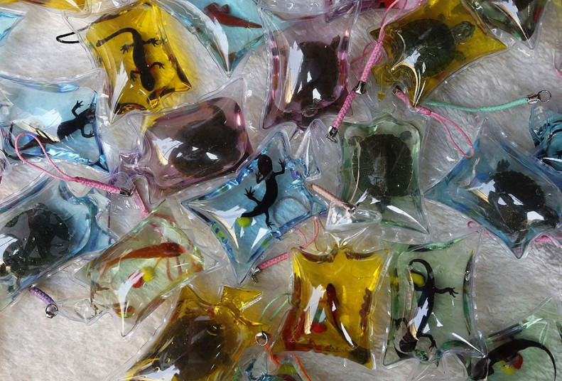 Ảnh động vật đẹp trong tuần ảnh 3 Small plastic bags holding fish, turtles and salamanders are displayed for sale at a shopping district in Beijing. Each bag, filled with oxygen and nutritional liquid, can keep the animal it holds alive for two months