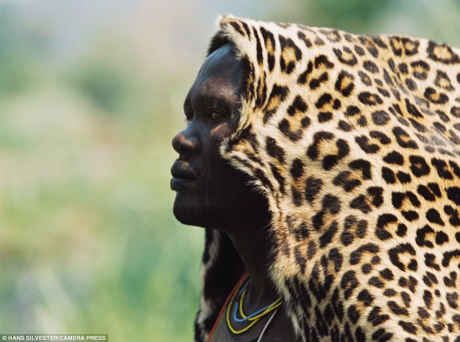 Standing proud: On older member of one tribe forgoes body paint in favour of an animal skin to cover his head Read more: http://www.dailymail.co.uk/news/article-2294456/Painted-faces-scarred-bodies-wooden-guns-extravagant-headdresses-Amazing-photographs-reveal-lost-world-Omo-tribes-Ethiopia.html#ixzz2Nn0uxRmk Follow us: @MailOnline on Twitter | DailyMail on Facebook