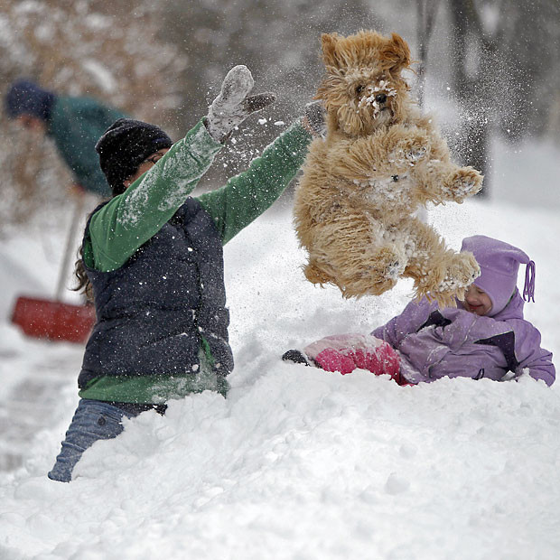 Ảnh động vật đẹp trong tuần ảnh 6 Lindsay Knutson plays with her dog Aspen and daughter Flora, as her husband Bob shovels snow, in Minneapolis
