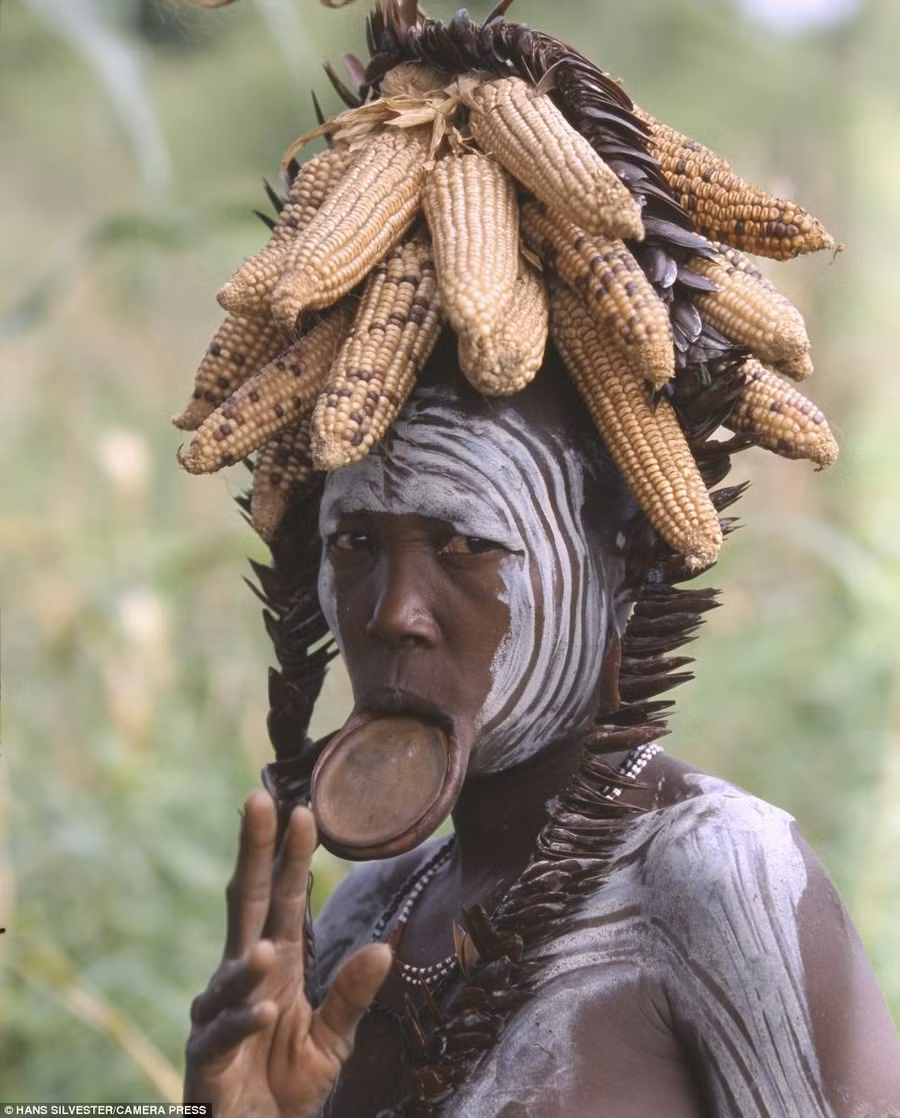 Traditional: A woman with her face painted in white circles wears a crown of dried corn and a mouth plate Read more: http://www.dailymail.co.uk/news/article-2294456/Painted-faces-scarred-bodies-wooden-guns-extravagant-headdresses-Amazing-photographs-reveal-lost-world-Omo-tribes-Ethiopia.html#ixzz2Nn0S8Alo Follow us: @MailOnline on Twitter | DailyMail on Facebook