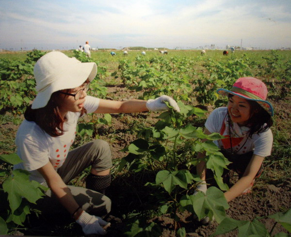 Triển lãm "Động đất Đông Nhật Bản - Sự sống hồi sinh"