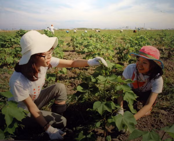 Triển lãm "Động đất Đông Nhật Bản - Sự sống hồi sinh"