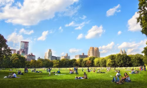 Ra ngoài tiếp xúc với ánh nắng và cây xanh giúp bạn phòng tránh nhiều vấn đề sức khỏe. Ảnh:bnet.com.