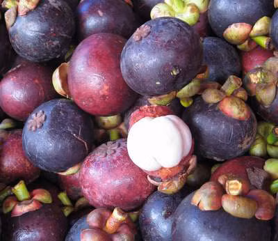 Những bí mật của "nữ hoàng trái cây"