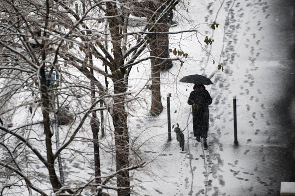 A woman walks through the snow-covered Trocadero garden in front of the Eiffel Tower in Paris, December 19, 2010, after a blanket of snow fell on the French capital. 