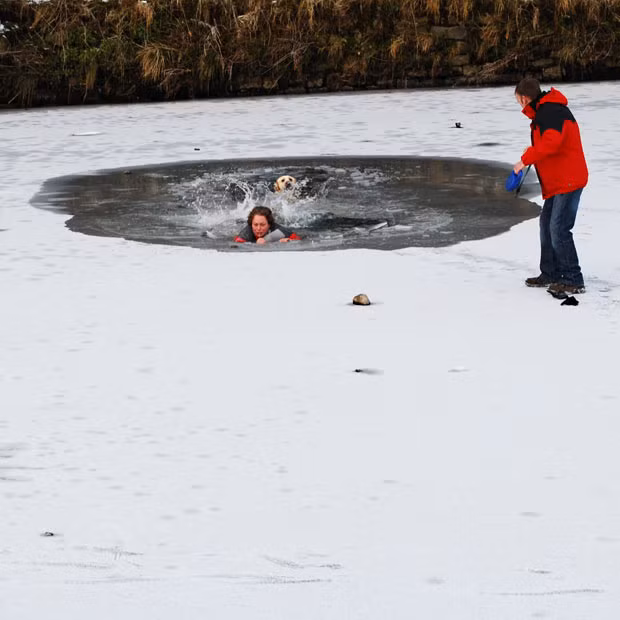A woman plunges into the freezing water, when the ice breaks as she tries to rescue her stricken Labrador. Dramatic pictures show how she risked her life - and was herself rescued when her companion used the dog’s lead to drag her to safety. The dog had become frantic after falling through ice into the River Ribble at Brungerley Bridge, Clitheroe, Lancashire. Eyewitnesses say the woman lay on her front and edged towards the dog - until the ice gave way under her weight. The man she was with used the pet’s lead to drag her to safety along with the dog