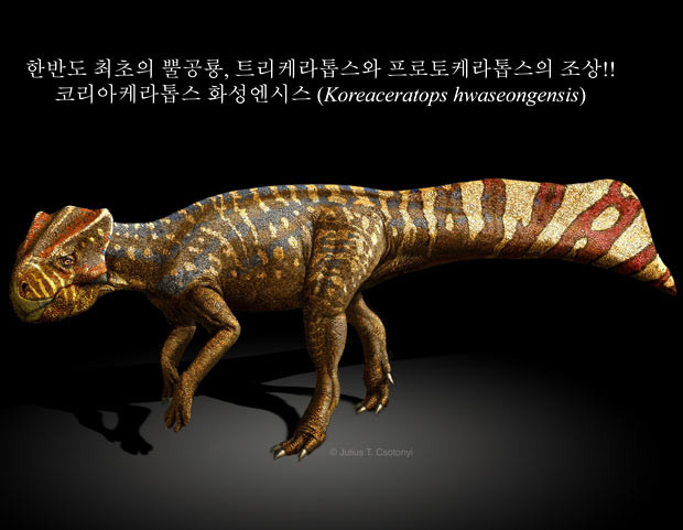 Sự kiện nổi bật của thế giới qua ảnh ảnh 3 A picture provided by the Korea Institute of Geoscience and Mineral Resources shows a computer image of a new horned dinosaur named Koreaceratops hwaseongensis. The newly identified genus is named for Korea and Hwaseong City, which yielded the fossil. Discovered in 2008 in a block of rock along the Tando Basin reservoir, it lived about 103 million years ago during the late Early Cretaceous period.