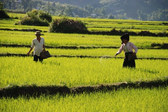 Điện Biên – Hạt thóc Mường Trời