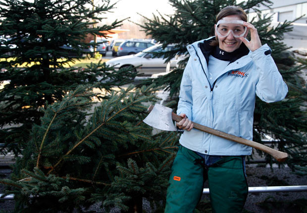 Những kỷ lục về Giáng sinh được xác lập ảnh 8 The most Christmas trees chopped in two minutes is 27 by Erin Lavoie (USA) achieved on the set of Guinness World Records in Germany, on 19 December 2008.