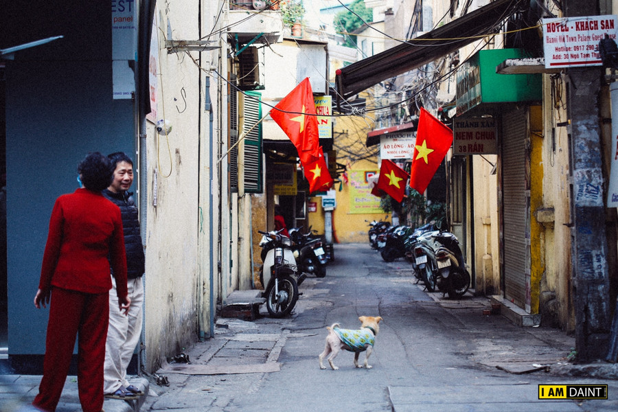 Có một Hà Nội ngày cuối năm thong thả đầy thân thuộc ảnh 9
